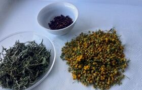 plante medicinale pentru a elimina paraziții din organism